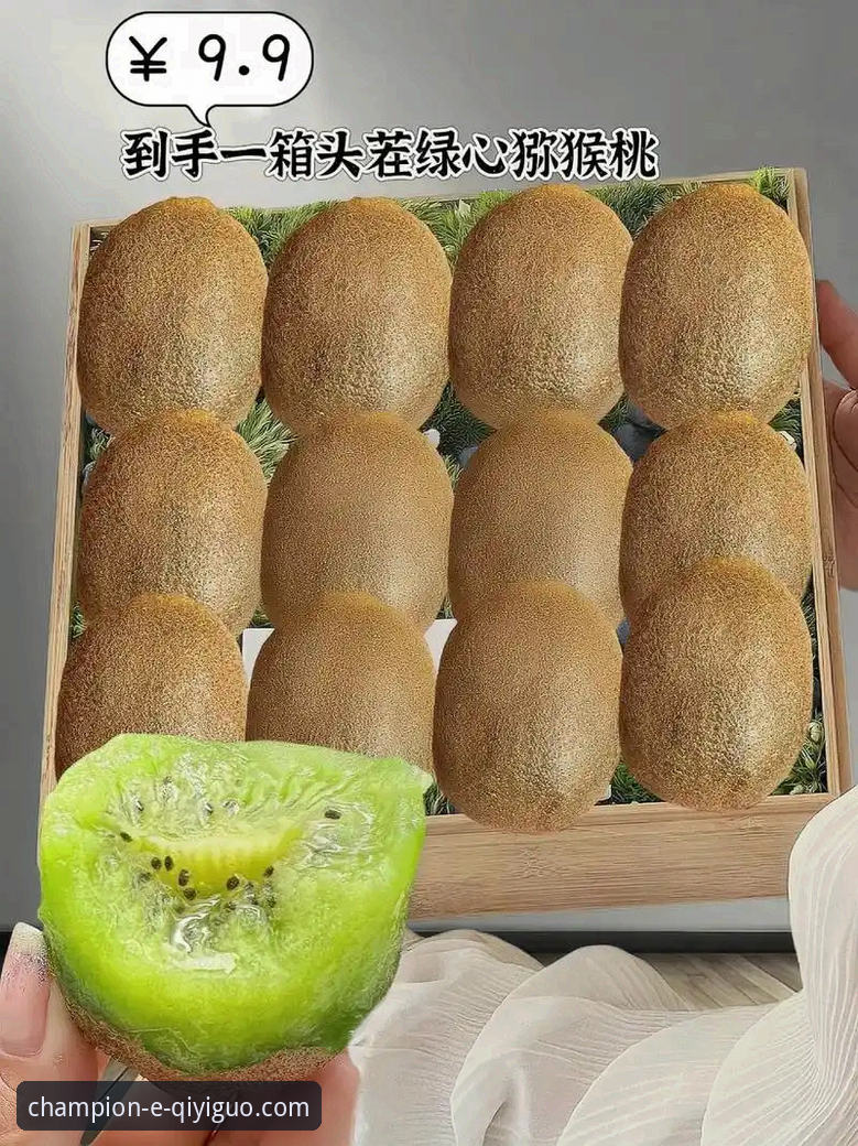 奇异果体育平台正规性深度解析与实用指南