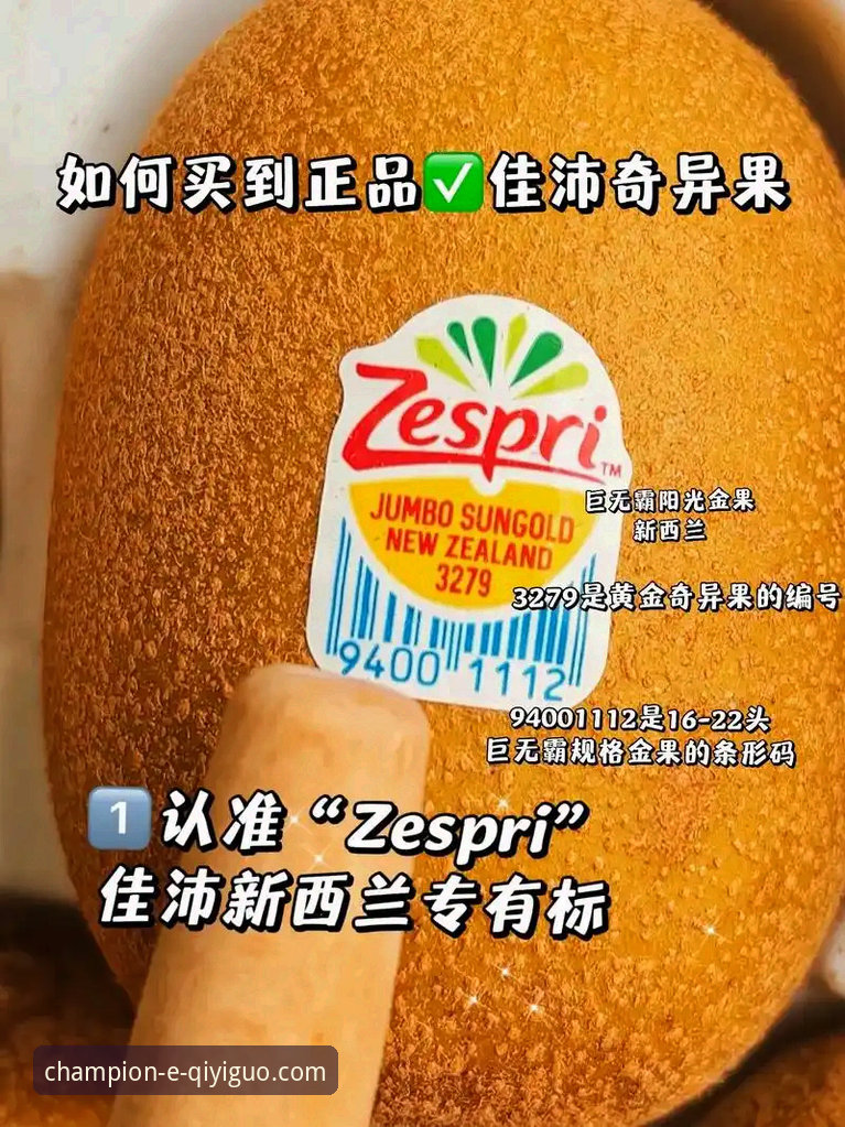 奇异果体育官方网站电脑版 资深用户分享:如何通过奇异果体育官方网站电脑版深度解析骑士魔术对攻大战