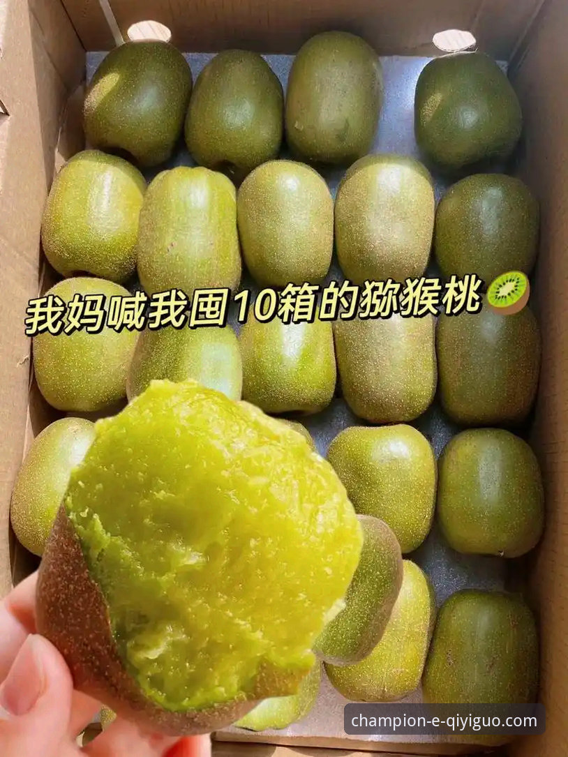 奇异果体育平台官网入口的3种高效访问方法与2大版本深度评测