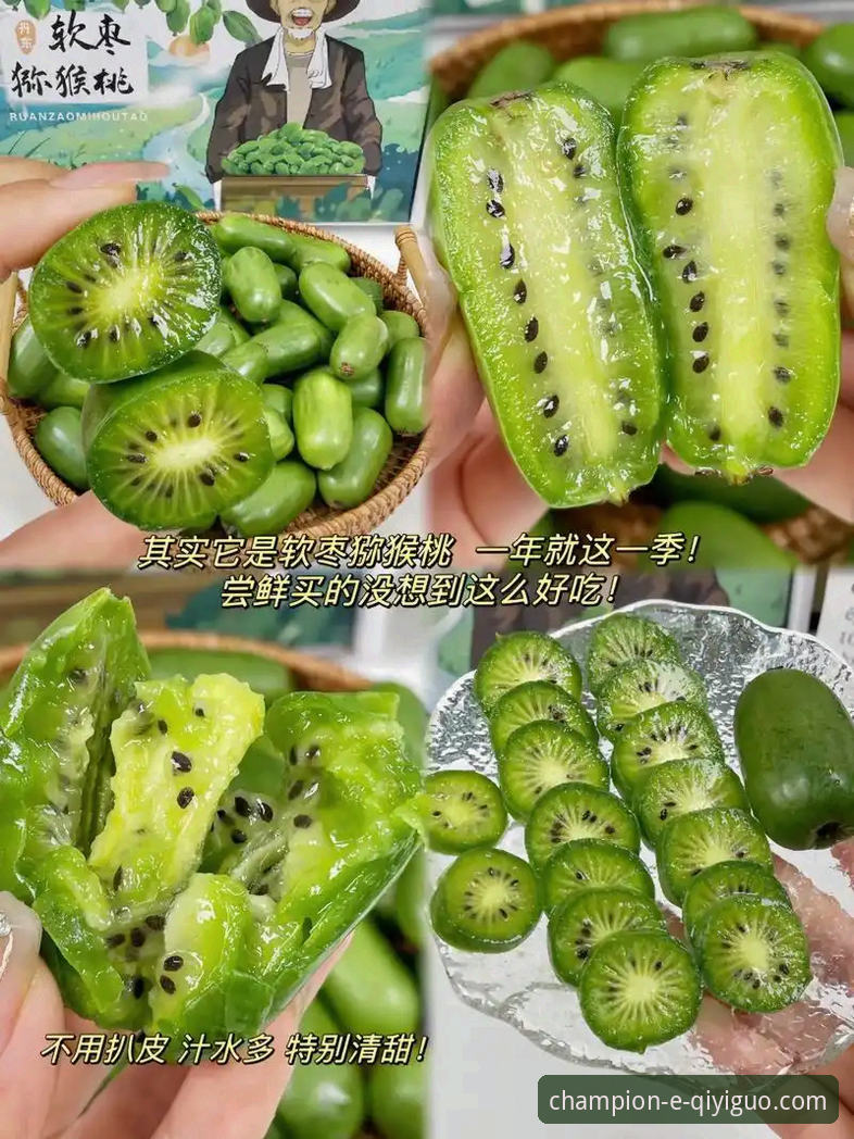 奇异果体育平台vs传统体育平台:最新版本下载与体验全面对比