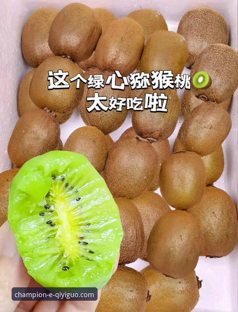 最新奇异果体育安卓版下载值不值得尝试？从专业角度分析v2.1.0版本的实际表现