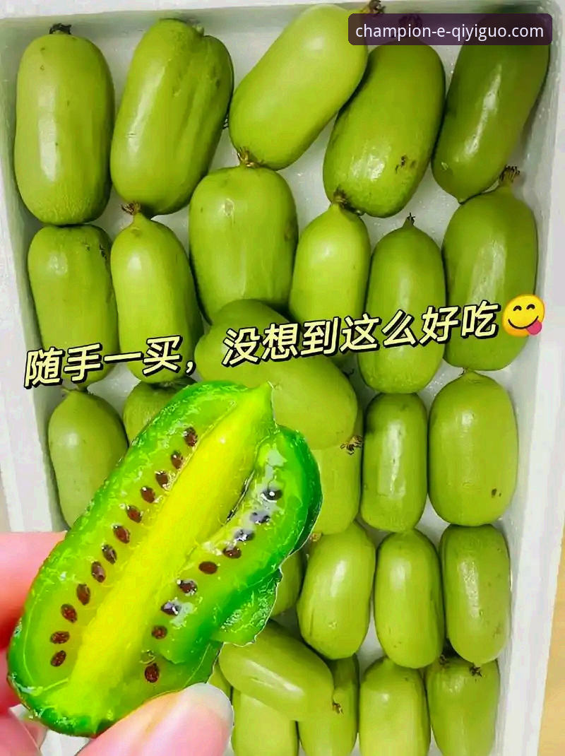 奇异果体育平台安全评估与使用教程:破解新手常见疑虑